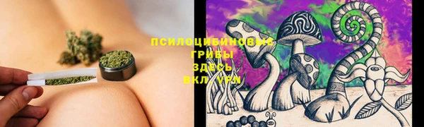 PSILOCYBIN Новокубанск