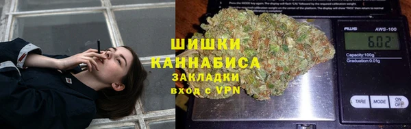 PSILOCYBIN Новокубанск