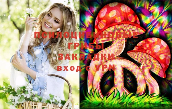 PSILOCYBIN Новокубанск