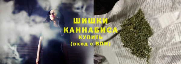 PSILOCYBIN Новокубанск