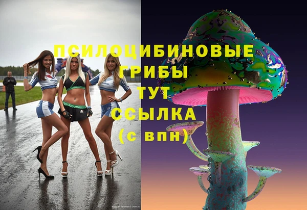 каннабис Новодвинск