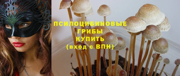 каннабис Новодвинск