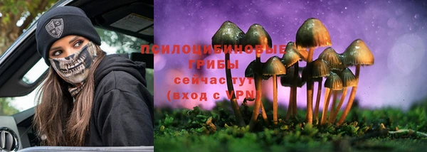 PSILOCYBIN Горняк