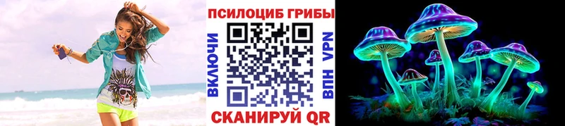 где можно купить   Олонец  Псилоцибиновые грибы Psilocybe 