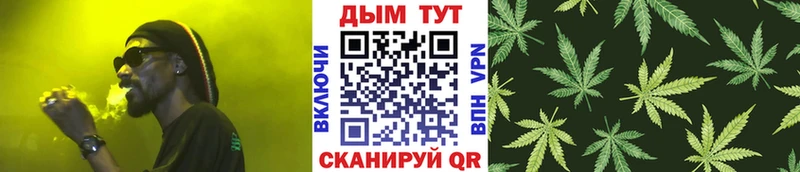 Марихуана гибрид  Олонец 